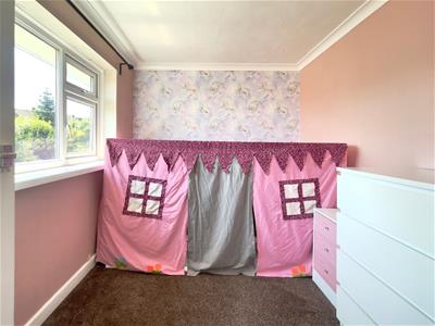 Picture 26